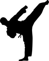 NAKLEJKA naklejki SPORTY WALKI karate judo boks 1m