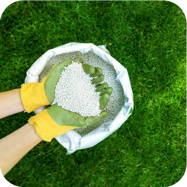 NAWÓZ DO TRAWY FLOROVIT MISTRZOWSKI TRAWNIK do trawy z mchem 10kg zdjęcie 5