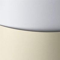 ND39_181521 KARTON OZD A4 BIA 250G GAL PAP GLAD F