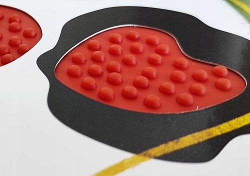 KSIĄŻECZKA KSIĄŻKA DOTYKOWA SENSORYCZNA WIEŚ na Arena.pl