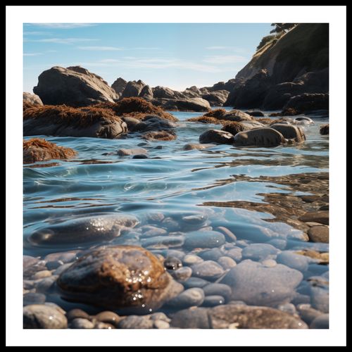 Plakat 80x80cm Harmonia Przybrzeżna na Arena.pl