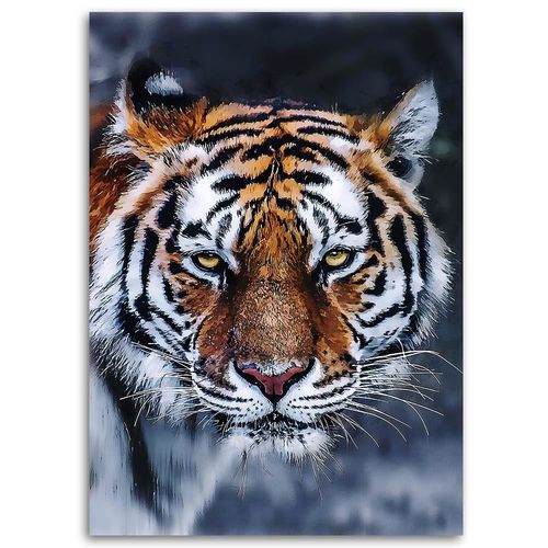 Deco Panel, Tygrys 70x100 na Arena.pl