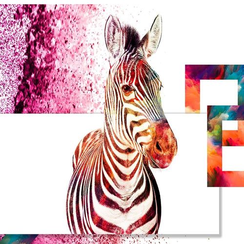 Obraz na płótnie – Canvas, kolorowa zebra 60x40 na Arena.pl