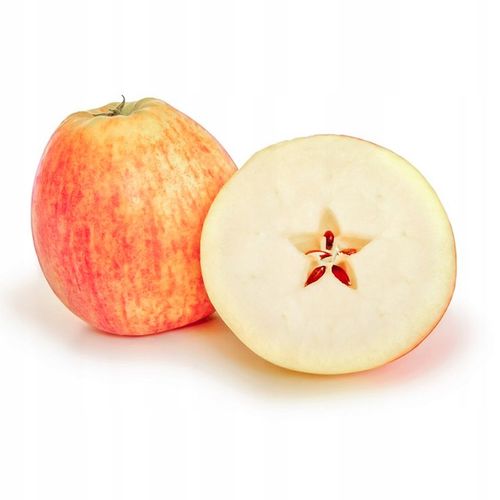 SADZONKI DRZEWKA OWOCOWE JABŁOŃ KOKSA POMARAŃCZOWA O SMAKU GRUSZKI na Arena.pl