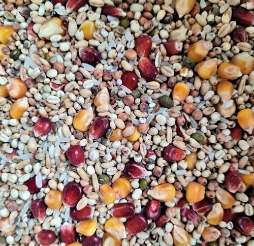 Karma dla gołębi szybkość Aidi Speedy Sprint 20kg na Arena.pl