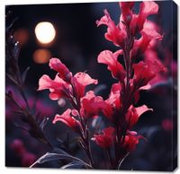 Obraz 90x90cm Wieczorny Blask