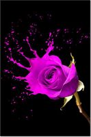 80CM 120 OBRAZ PLUSK ŚCIENNY