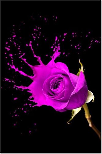 80CM 120 OBRAZ PLUSK ŚCIENNY na Arena.pl