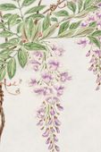 Plakat 20x30cm Wisteria Vine, Morikaga Japoński Vintage do Salonu