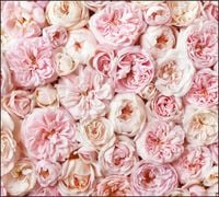 Tło do fotografii produktowej kulinarnej Flat Lay