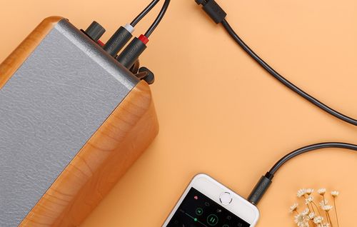 UGREEN AV102 Kabel 2x RCA (Cinch) jack 3.5 mm 1m (czarny) na Arena.pl