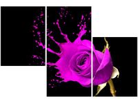 60 90CM OBRAZ 3 ELEM PLUSK ŚCIENNY DRUK PŁÓTNO