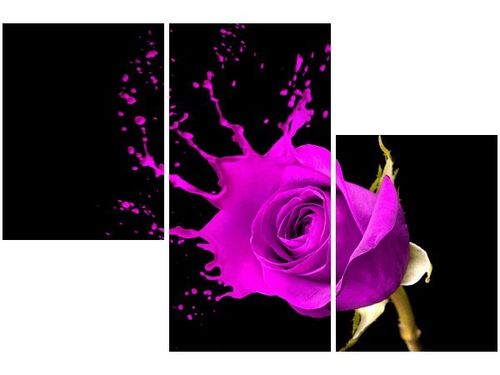 60 90CM OBRAZ 3 ELEM PLUSK ŚCIENNY DRUK PŁÓTNO na Arena.pl