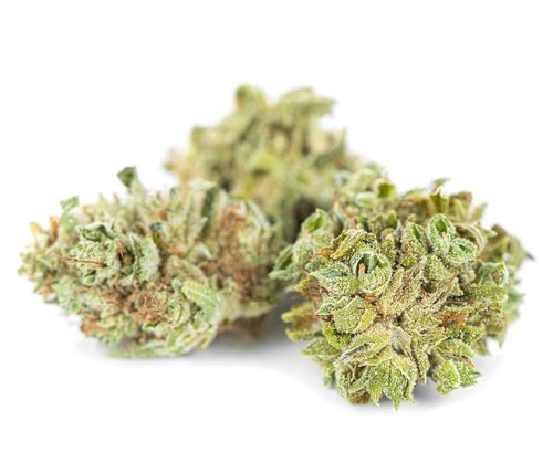 Susz konopny CBD | CBG | Silver 1 g na Arena.pl