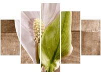 105CM 150CM OBRAZ 5 ELEM SKRZYDŁOKWIAT DRUK