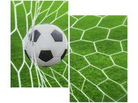 80X70CM PIŁKA BRAMCE DUO OBRAZ