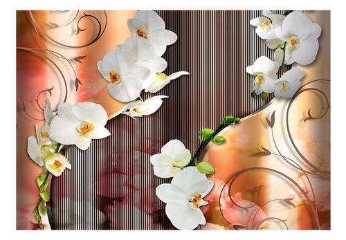 Fototapeta - Orchidea - 400X280 na Arena.pl