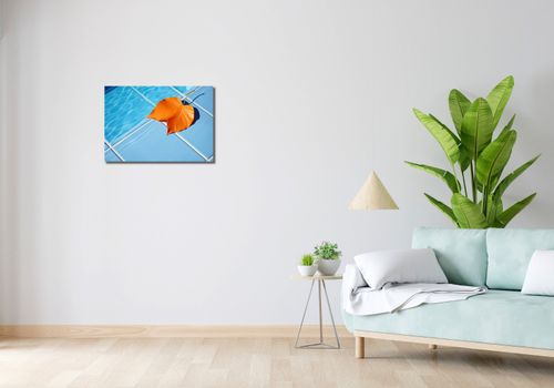 Obraz 60x40cm Liść przy Wodzie na Arena.pl