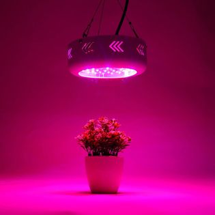 Panel do uprawy roślin grow 50 led 150w led typ UFO Grow Light