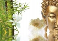 product-compare-62143713