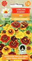 Dzielżan jesienny mix roślina miododajna 0,1 g