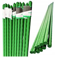 10X TYCZKA PALIK PODPORA NA POMIDORY OGÓRKI TYCZKI DO ROŚLIN W TUNEL 120 CM