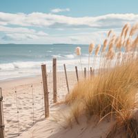 product-compare-59352520