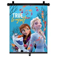 ND15_9343 ROLETA PRZECIWSŁONECZNA 1SZT 36*45CM FROZEN 2