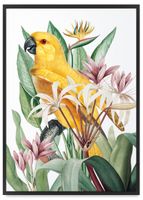 Plakat papuga w egzotycznych kwiatach 50x70 cm w czarnej ramie