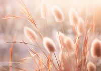 product-compare-59371573