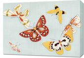 Obraz 70x50cm Butterfly, Sekka Japoński Vintage do Salonu