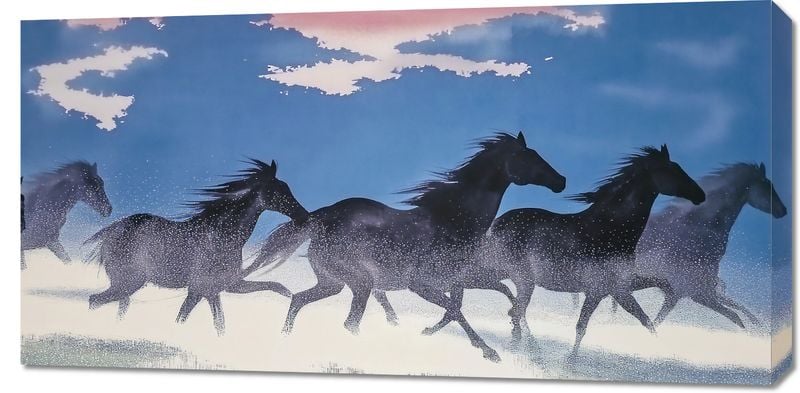 Obraz 100x50cm Wolność i Swoboda zdjęcie 1