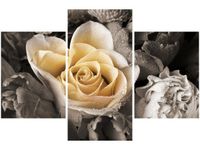 90X60CM OBRAZ DELIKATNA RÓŻA