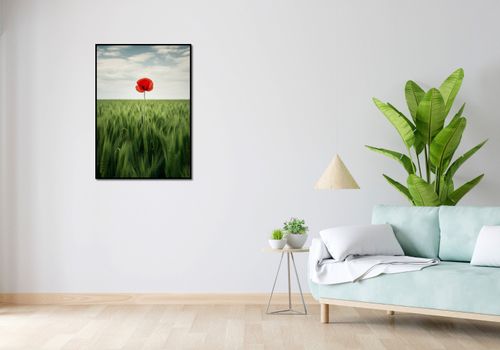 Plakat 64x90cm Samotny Mak na Polu na Arena.pl