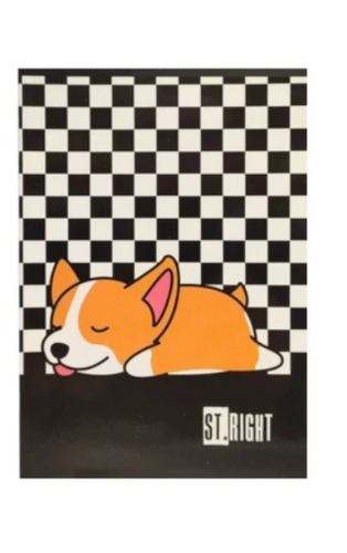 ZESZYT A4 32 # ST.RIGHT LAMINOWANY na Arena.pl