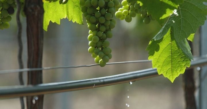 Linia kroplująca 50m + 50 szpilek /100 akcesoriów zdjęcie 3