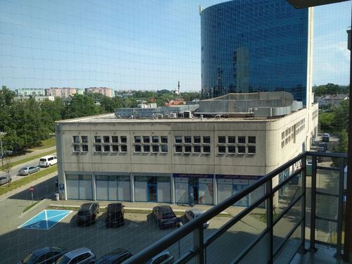 SIATKA PRZEZROCZYSTA NA BALKON DLA KOTA PTAKI 3x8 na Arena.pl