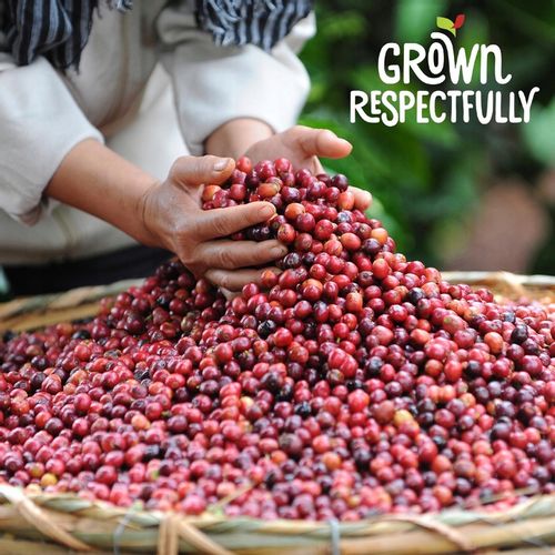 Nescafe Dolce Gusto Grande Intenso 16 kapsułek na Arena.pl