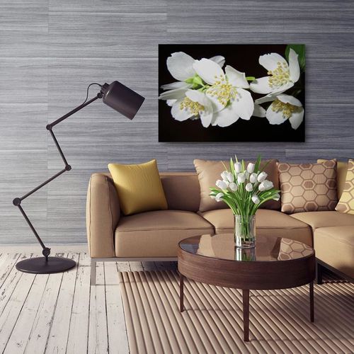 Obraz na płótnie - Canvas, Jaśmin 50x40 na Arena.pl