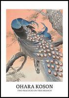 Plakat 70x100cm Design Two Peacocks, Koson Vintage do Salonu