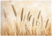 FOTOTAPETA BOHO ŁĄKA BEŻOWA NATURA SYPIALNIA SALON TAPETA FLIZELINA 400x280