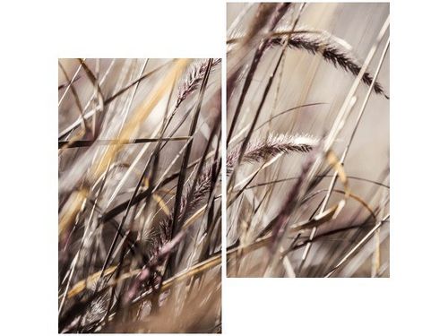 60X60CM BUSZUJĄCY TRAWIE NINA MATTHEWS DWU OBRAZ ŚCIAN na Arena.pl