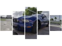 80CM 150CM OBRAZ 5 ELEM MUSTANG BRETT LEVIN ŚCIENNY