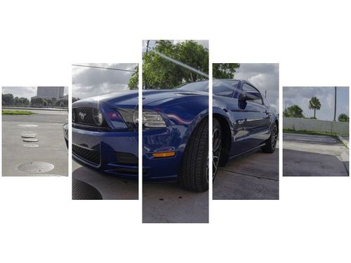 80CM 150CM OBRAZ 5 ELEM MUSTANG BRETT LEVIN ŚCIENNY na Arena.pl