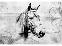 50X70CM KOŃ OBRAZ POKOJU DREWNINE