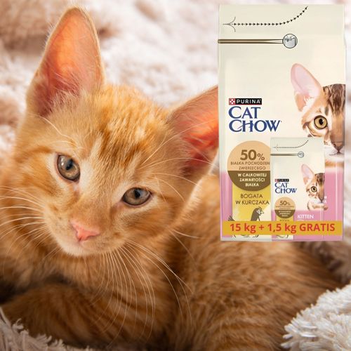 sucha karma dla kota cat chow kitten kurczak 15 kg + 1.5 kg gratis kocięta na Arena.pl