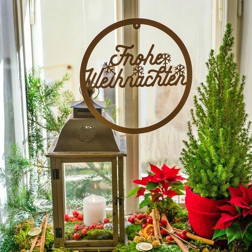 ŚWIERK CONICA ŁADNA CHOINECZKA DO DOMU I OGRODU CAŁOROCZNA SADZONKA W DONIC na Arena.pl