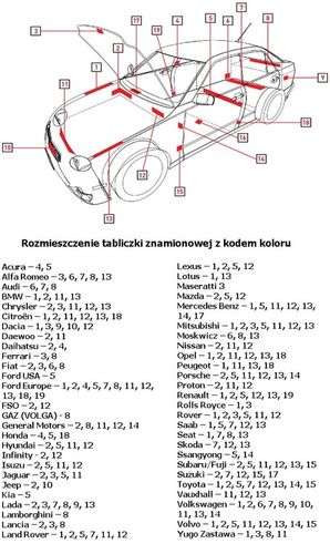 ZAPRAWKA LAKIERNICZA FIAT WSZYSTKIE KOLORY KODY na Arena.pl