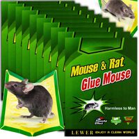 LEP NA MYSZY SZCZURY PUŁAPKA 30X ŁAPKA MYSZOŁAPKA SILNY MOCNY KLEJ