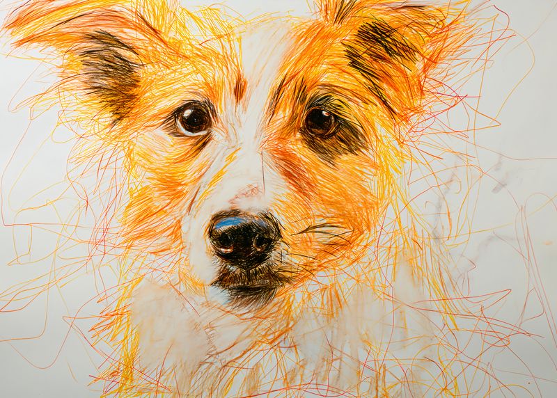 Plakat 35x25cm Uroczy Gość zdjęcie 1